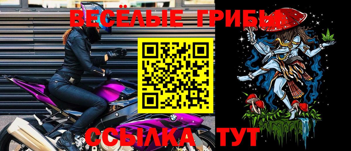 Галлюциногенные грибы GOLDEN TEACHER  Вход с VPN  Соль-Илецк 