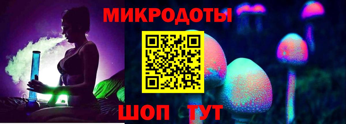 Галлюциногенные грибы Cubensis Соль-Илецк
